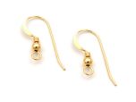 950620-gold-filled-french-ear-wire-22mm-wire-0.6mm-ear-hooks-with-ball-and-spring.jpg