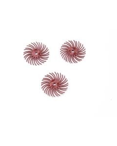 230265.jpg