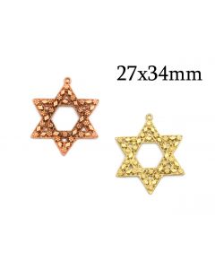 2467b-brass-star-of-david-pendant-with-flowers-27x34mm.jpg